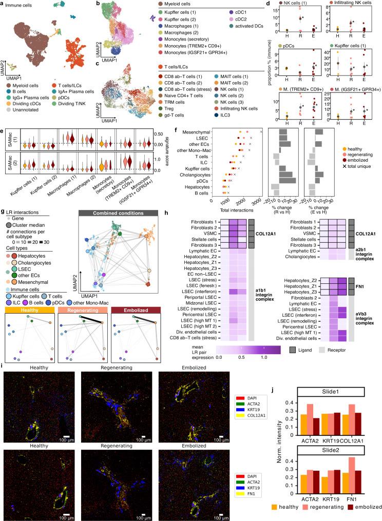 https://cdn.ncbi.nlm.nih.gov/pmc/blobs/45c9/11239663/80208cfe0b62/41467_2024_49236_Fig5_HTML.jpg