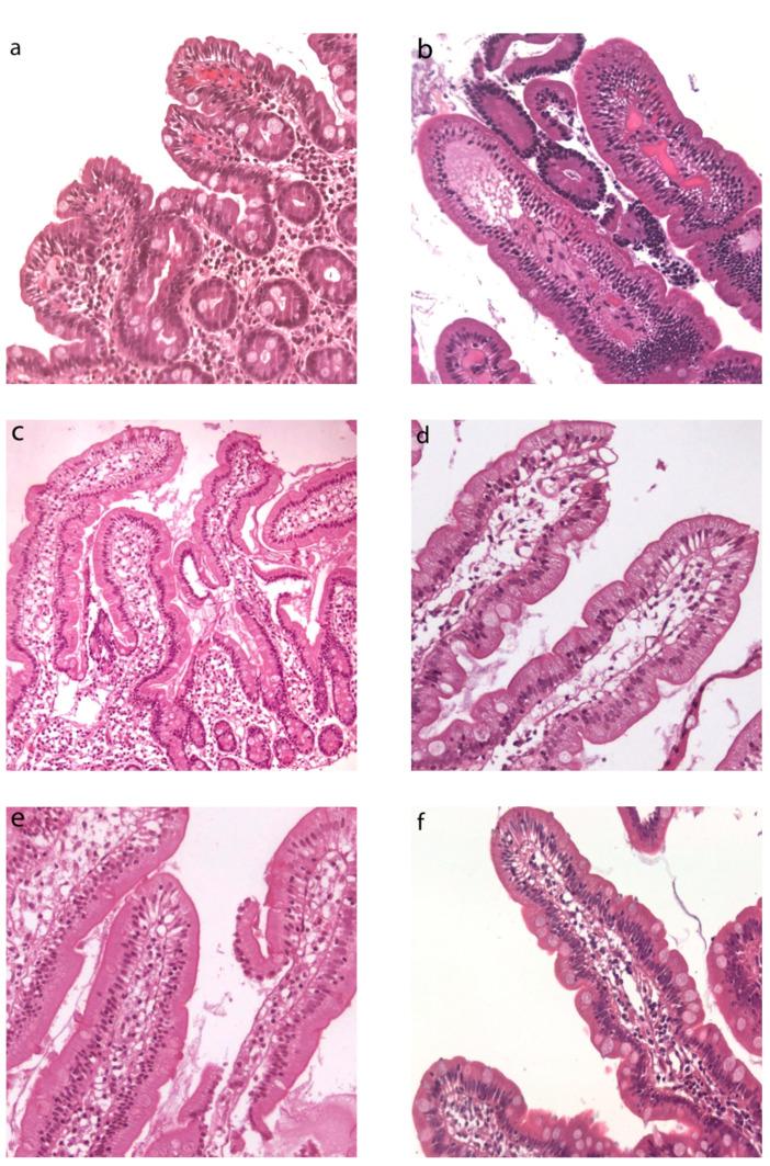 https://cdn.ncbi.nlm.nih.gov/pmc/blobs/45cb/8533783/3a99ee2fc78f/cells-10-02593-g001.jpg