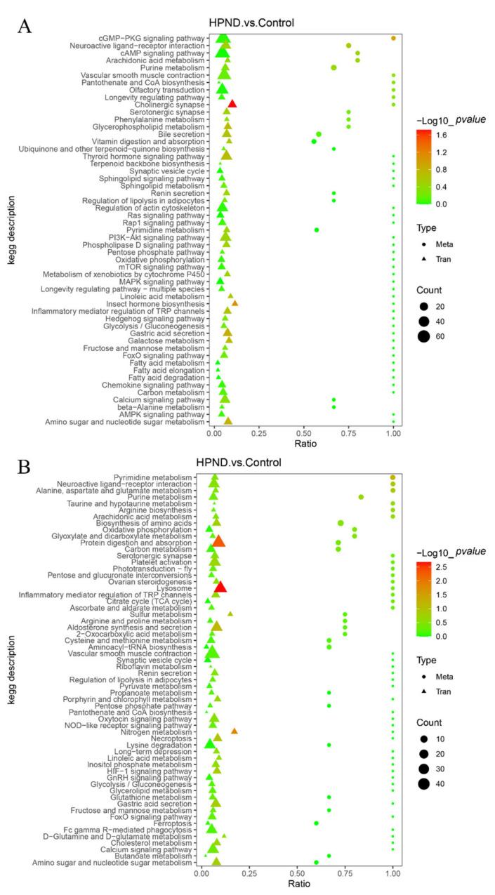 https://cdn.ncbi.nlm.nih.gov/pmc/blobs/45ce/9495758/587577b2508d/biology-11-01267-g006.jpg
