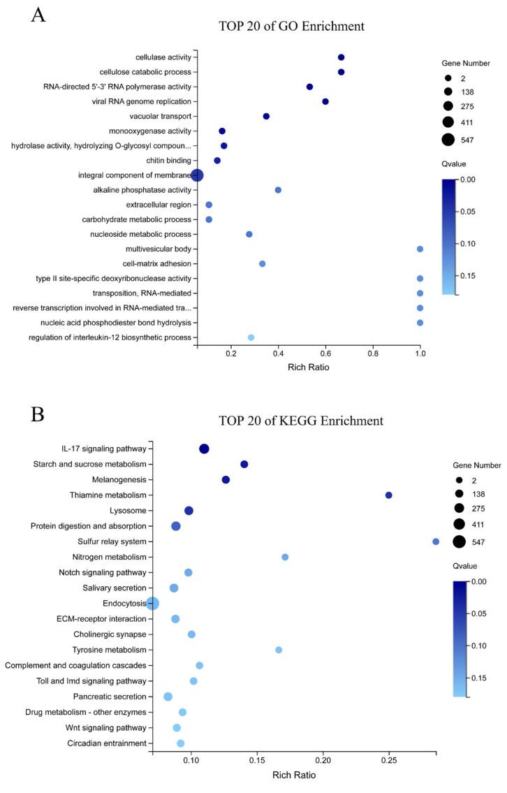 https://cdn.ncbi.nlm.nih.gov/pmc/blobs/45ce/9495758/bdc57d448aaa/biology-11-01267-g003.jpg