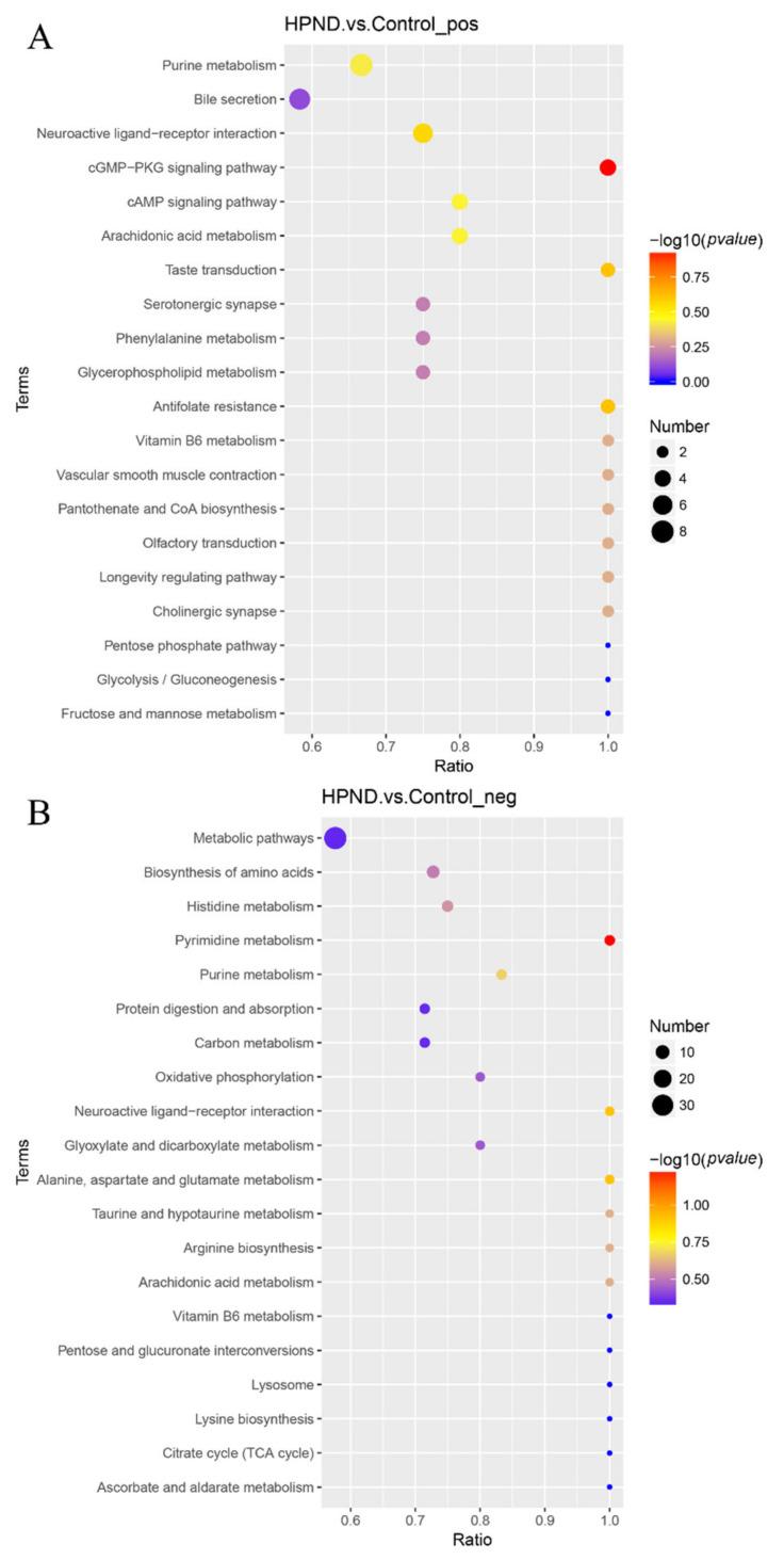 https://cdn.ncbi.nlm.nih.gov/pmc/blobs/45ce/9495758/cd1b2c0831a4/biology-11-01267-g005.jpg