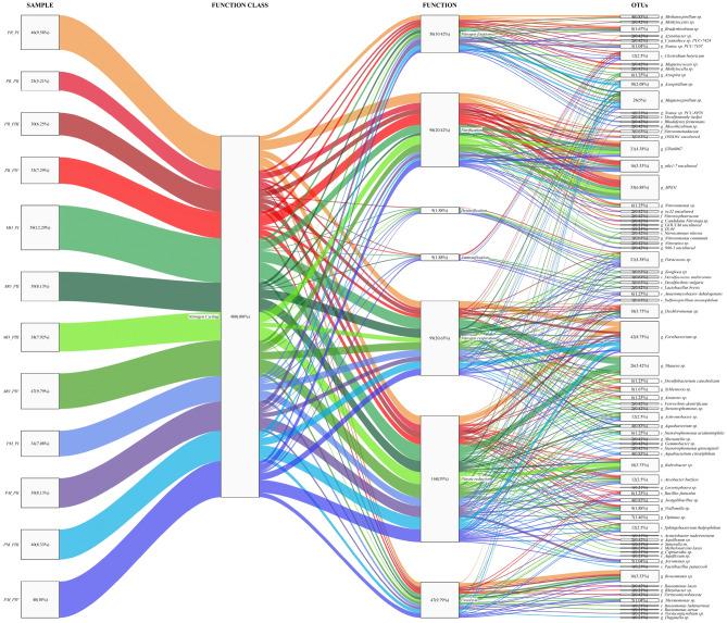 https://cdn.ncbi.nlm.nih.gov/pmc/blobs/45d2/12375747/62924b652e4b/41598_2025_16527_Fig6_HTML.jpg