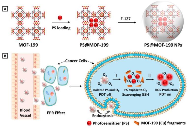 https://cdn.ncbi.nlm.nih.gov/pmc/blobs/45d4/7915670/0fbb2b877629/ijms-22-01631-g006.jpg
