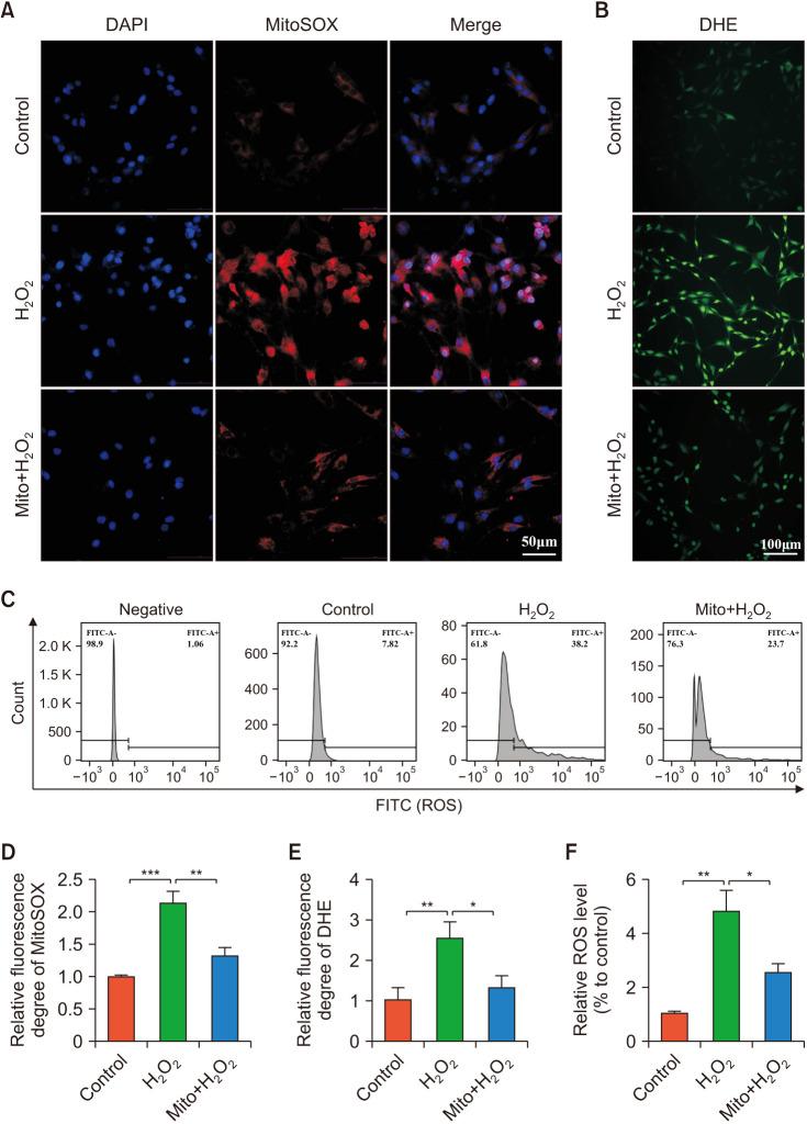https://cdn.ncbi.nlm.nih.gov/pmc/blobs/45d5/10782119/9a9951a222dd/wjmh-42-188-g007.jpg