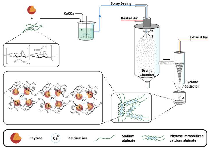 https://cdn.ncbi.nlm.nih.gov/pmc/blobs/45d5/11173704/cdafe15068bd/molecules-29-02515-g012.jpg