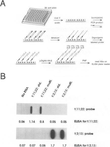 https://cdn.ncbi.nlm.nih.gov/pmc/blobs/45d6/1869175/6db53470ee20/amjpathol00051-0089-a.jpg