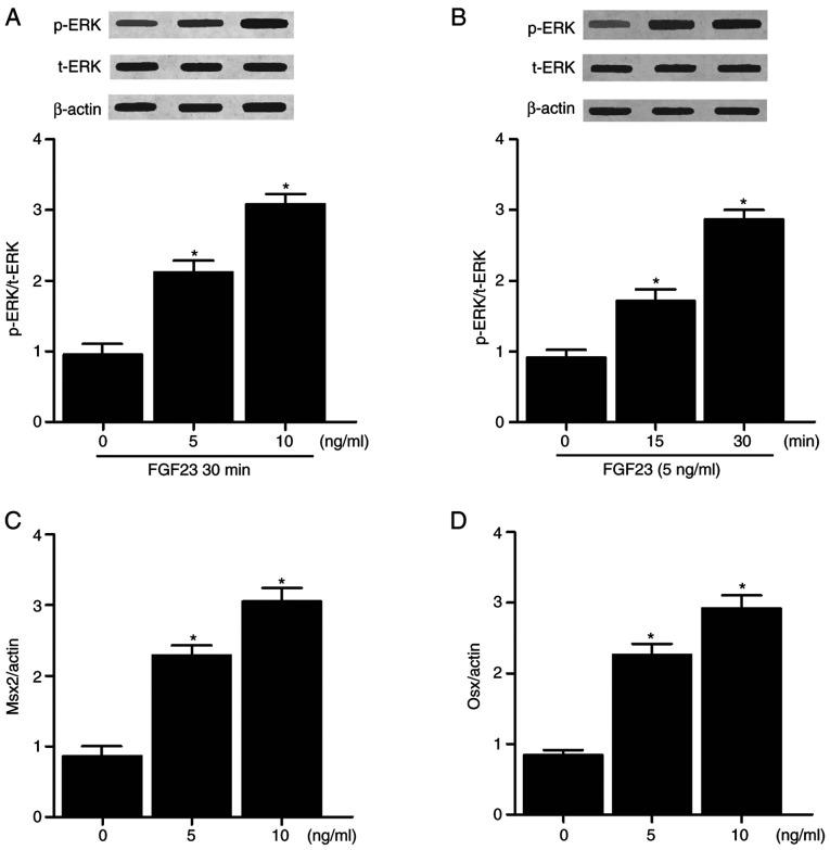 https://cdn.ncbi.nlm.nih.gov/pmc/blobs/45d6/7521475/d11a6fdc18c8/IJMM-46-05-1783-g05.jpg