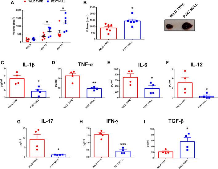 https://cdn.ncbi.nlm.nih.gov/pmc/blobs/45d6/9159855/651087110532/fcell-10-876510-g001.jpg