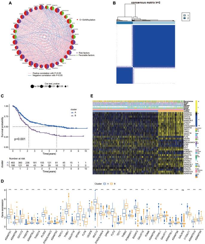https://cdn.ncbi.nlm.nih.gov/pmc/blobs/45d8/12053408/3b02f5ee25ce/ABBS-2024-411-t1.jpg