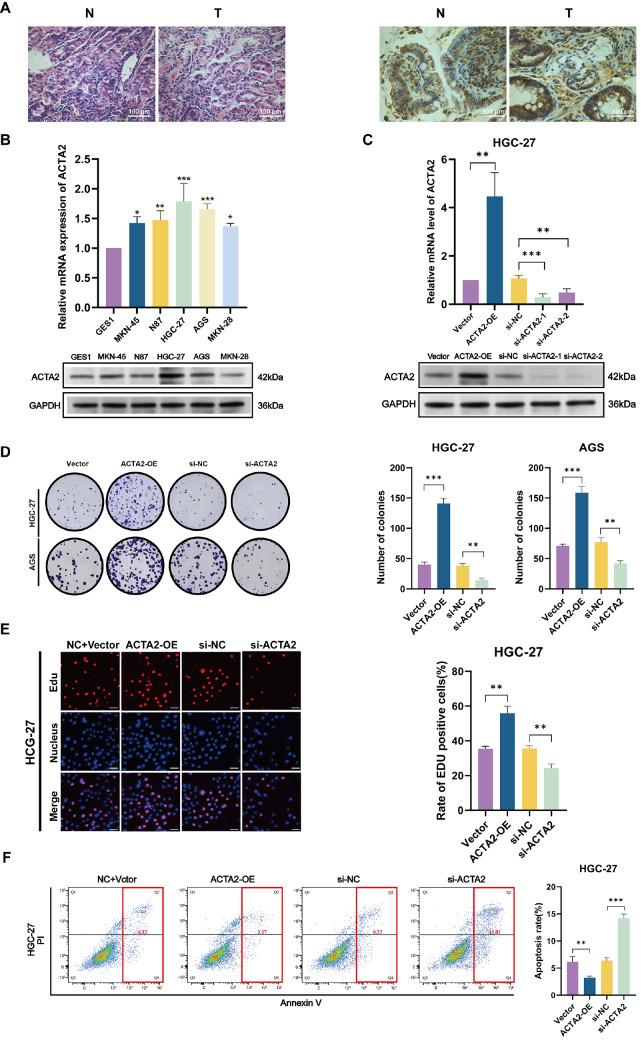 https://cdn.ncbi.nlm.nih.gov/pmc/blobs/45d8/12053408/3b507932df53/ABBS-2024-411-t8.jpg