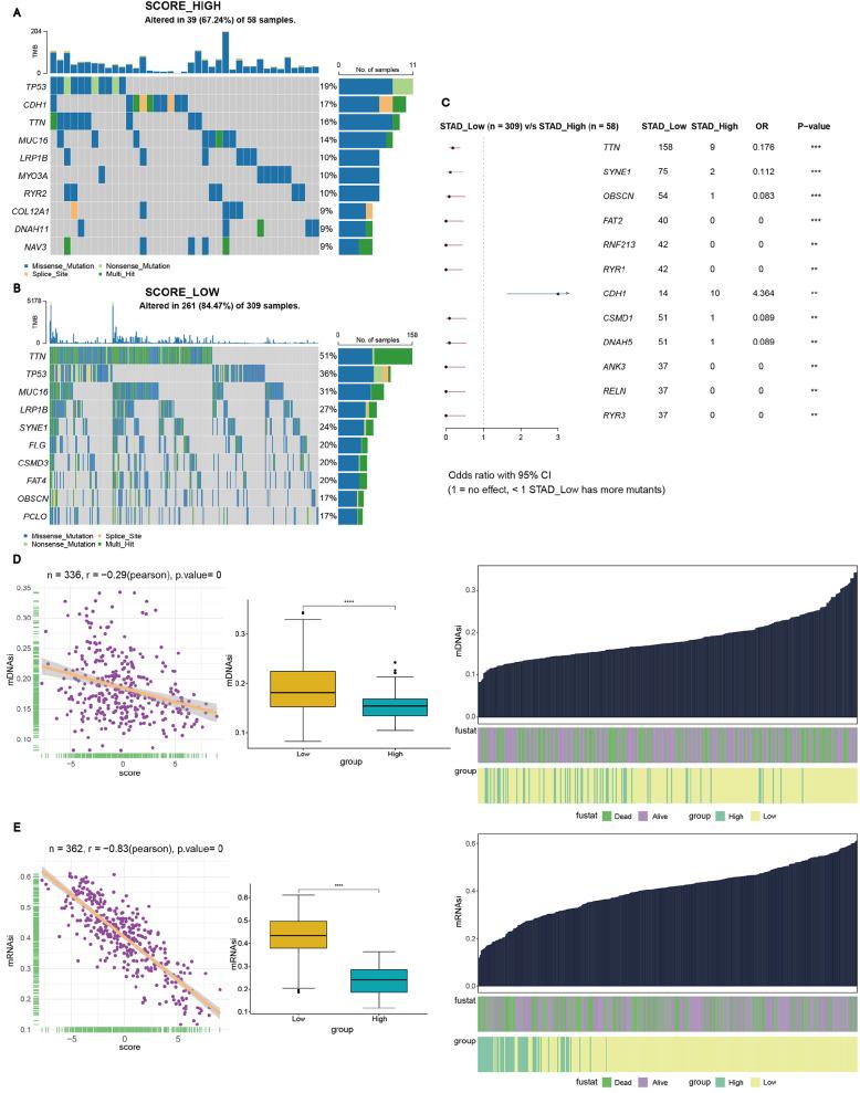https://cdn.ncbi.nlm.nih.gov/pmc/blobs/45d8/12053408/3b5f3f70b729/ABBS-2024-411-t6.jpg