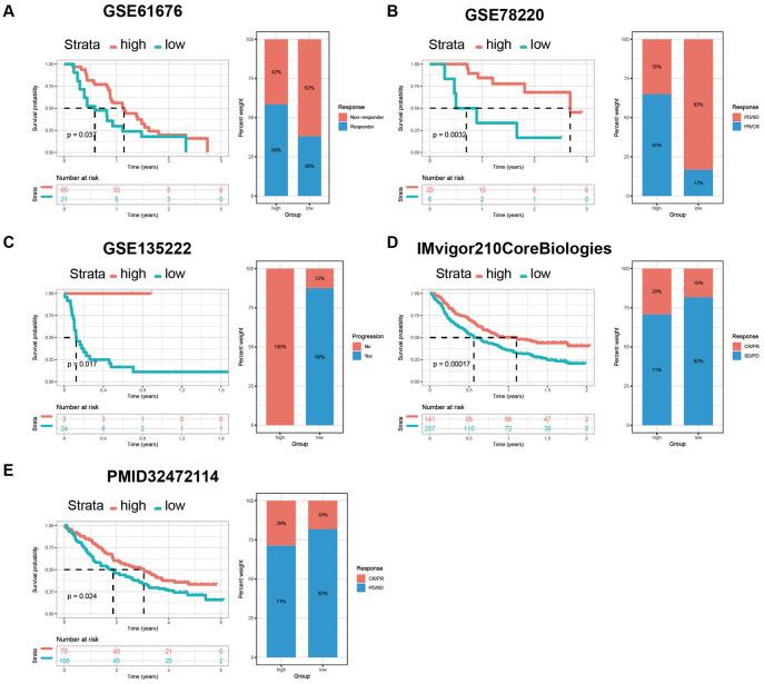 https://cdn.ncbi.nlm.nih.gov/pmc/blobs/45d8/12053408/d2baf67d0378/ABBS-2024-411-t7.jpg