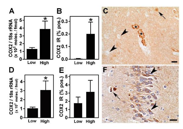 https://cdn.ncbi.nlm.nih.gov/pmc/blobs/45d8/1570474/8721b6623f07/1743-8977-3-13-2.jpg