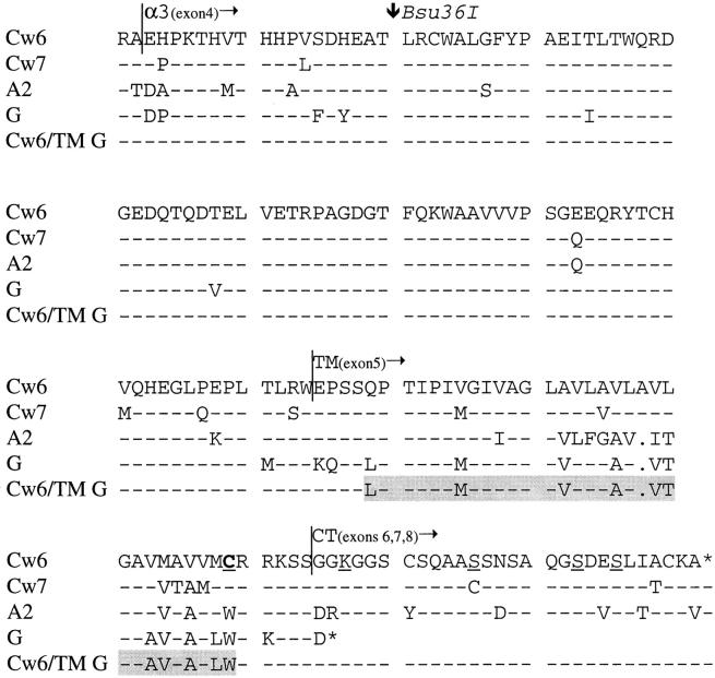 https://cdn.ncbi.nlm.nih.gov/pmc/blobs/45d8/2193022/27731f063a26/JEM982034.f1.jpg