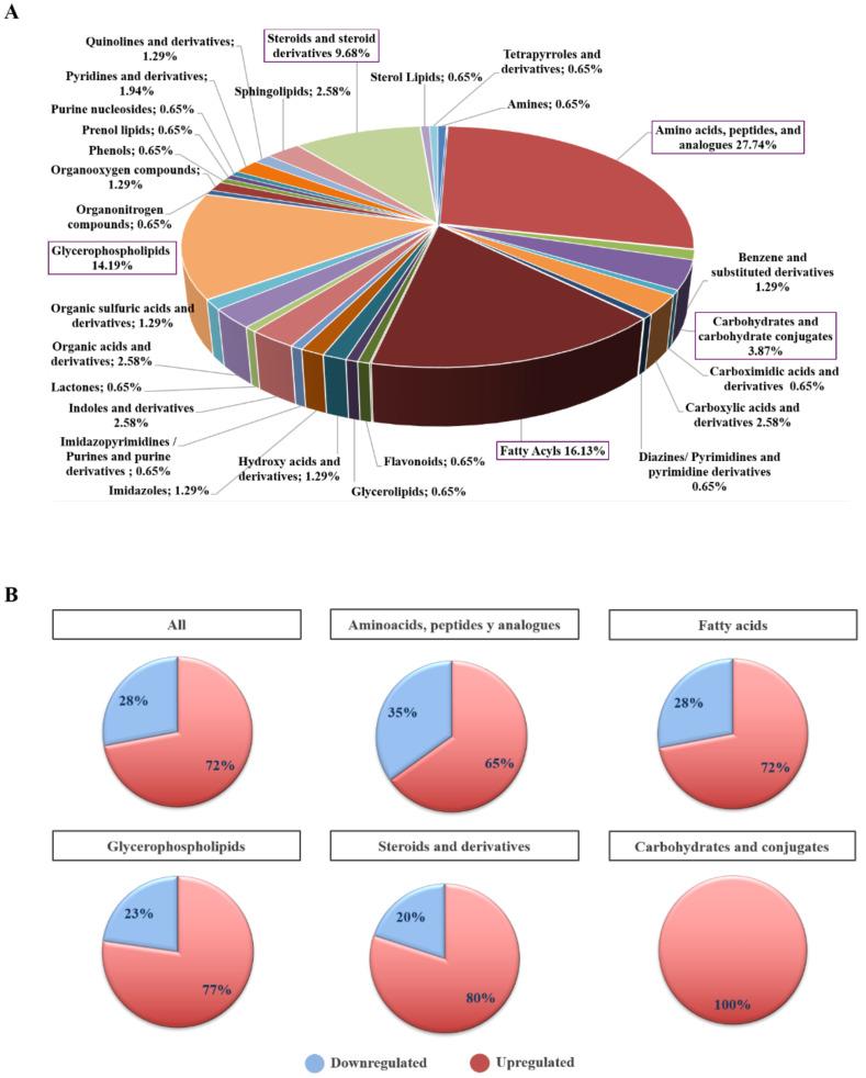 https://cdn.ncbi.nlm.nih.gov/pmc/blobs/45d8/8197817/854a514303d9/cancers-13-02634-g004.jpg