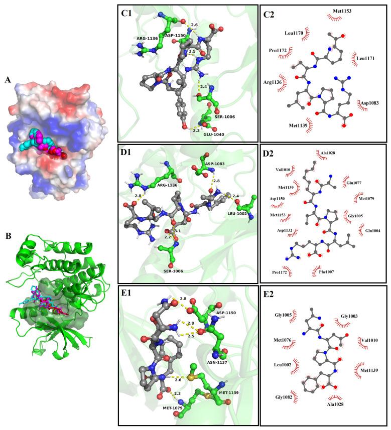 https://cdn.ncbi.nlm.nih.gov/pmc/blobs/45da/11085682/8218d309f523/nutrients-16-01279-g006.jpg