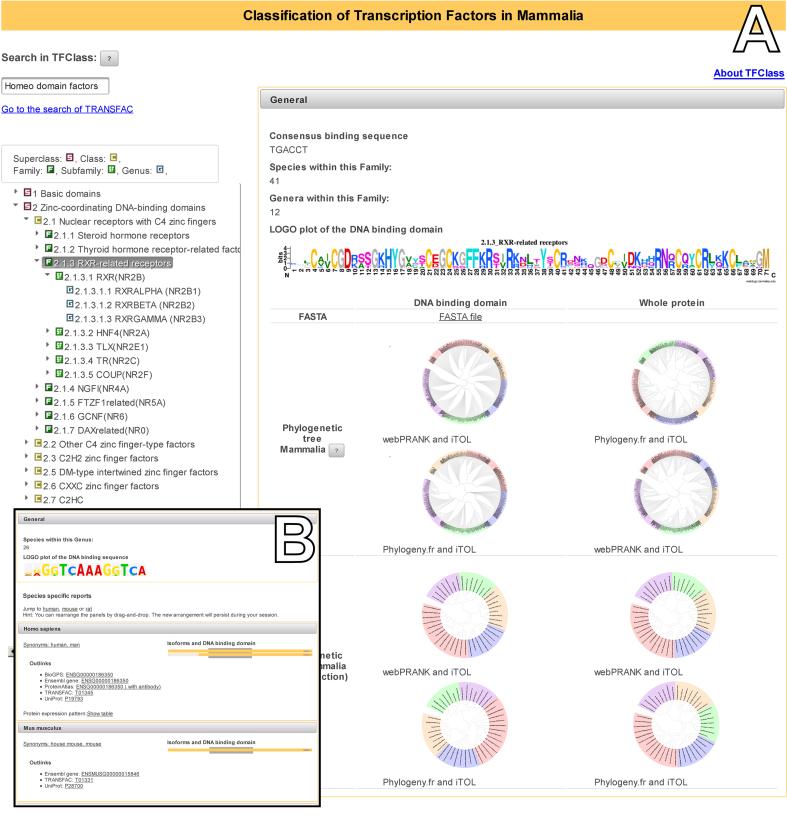https://cdn.ncbi.nlm.nih.gov/pmc/blobs/45db/5753292/781859044cea/gkx987fig1.jpg
