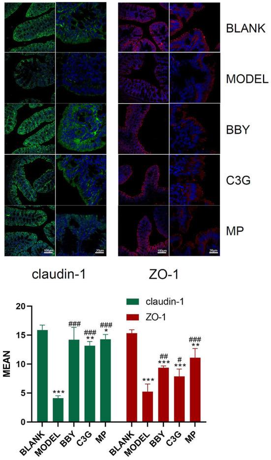 https://cdn.ncbi.nlm.nih.gov/pmc/blobs/45db/9449314/bff117a5385b/fnut-09-970530-g0005.jpg