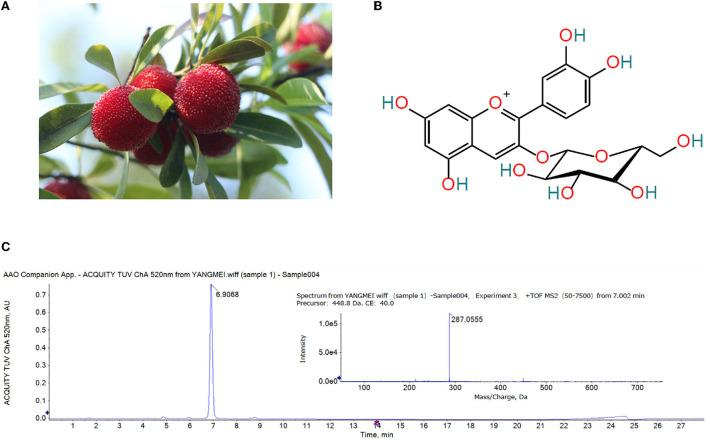 https://cdn.ncbi.nlm.nih.gov/pmc/blobs/45db/9449314/e12b7bc27cc8/fnut-09-970530-g0001.jpg
