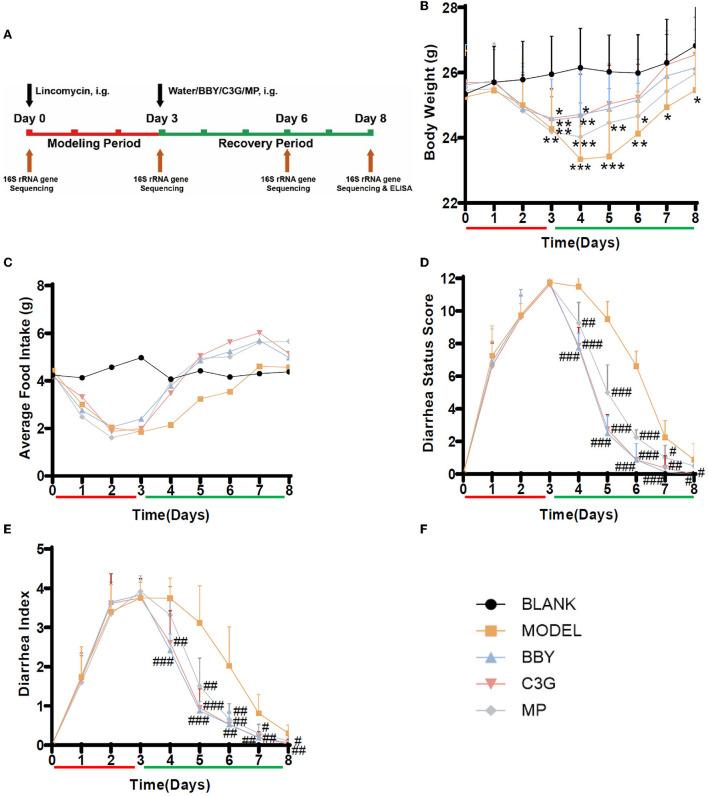 https://cdn.ncbi.nlm.nih.gov/pmc/blobs/45db/9449314/ec1e4cfcdfd9/fnut-09-970530-g0002.jpg