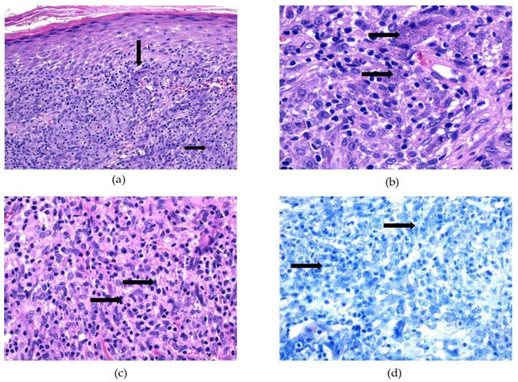 https://cdn.ncbi.nlm.nih.gov/pmc/blobs/45db/9740434/965eb7ddd8f2/ijerph-19-16047-g006.jpg