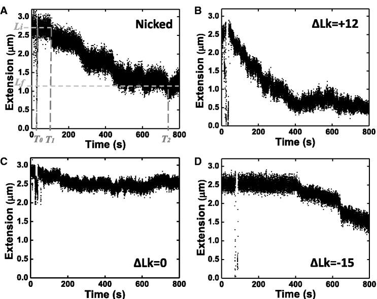 https://cdn.ncbi.nlm.nih.gov/pmc/blobs/45dc/3695518/9a58270ec03f/gkt303f2p.jpg