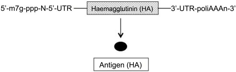 https://cdn.ncbi.nlm.nih.gov/pmc/blobs/45dd/9315338/2d575a286a28/gr1_lrg.jpg