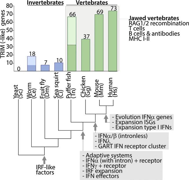 https://cdn.ncbi.nlm.nih.gov/pmc/blobs/45e0/7173094/e1ca36614a3e/gr3_lrg.jpg