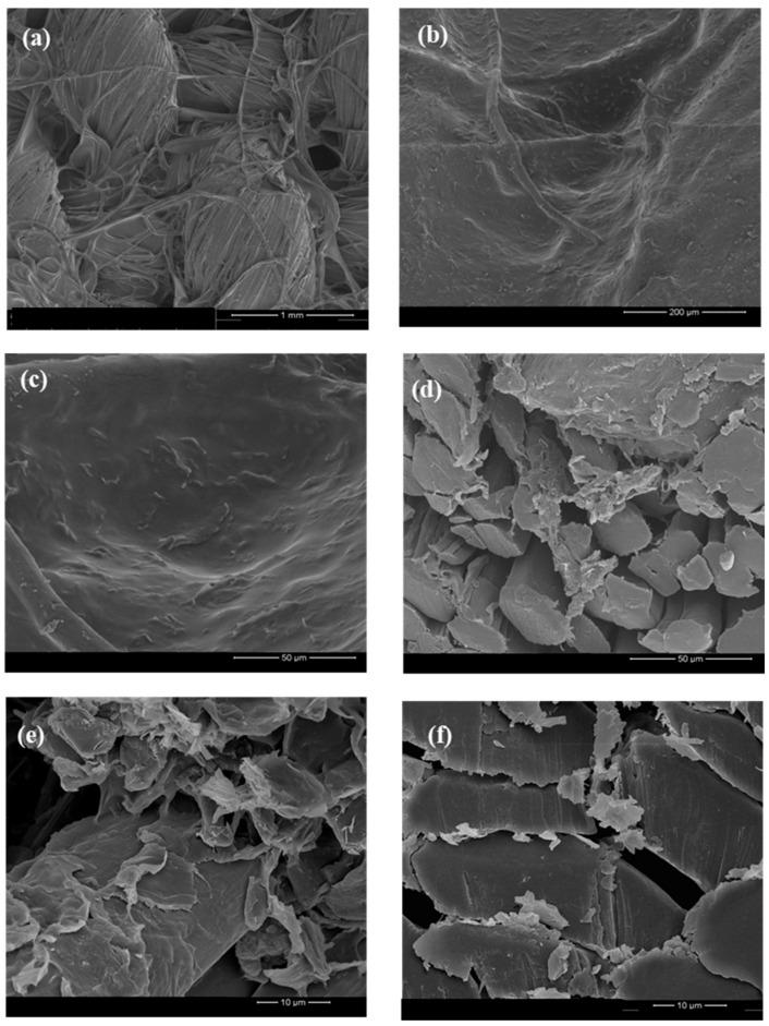 https://cdn.ncbi.nlm.nih.gov/pmc/blobs/45e1/7600018/2830a36bc3b0/polymers-12-02189-g006.jpg
