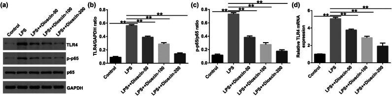 https://cdn.ncbi.nlm.nih.gov/pmc/blobs/45e2/11406438/7adc1ac0d296/j_med-2024-1036-fig007.jpg