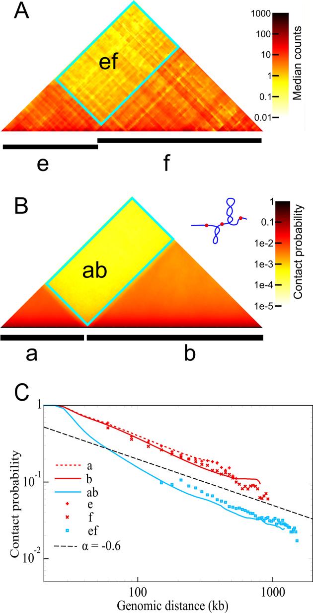 https://cdn.ncbi.nlm.nih.gov/pmc/blobs/45e3/6344874/7050644db3e0/gky1091fig1.jpg
