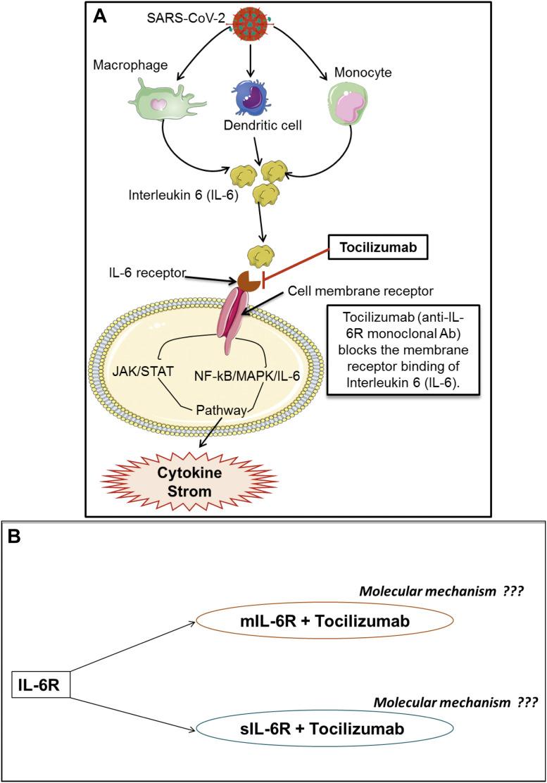 https://cdn.ncbi.nlm.nih.gov/pmc/blobs/45e4/7241374/5688dfe9c9e5/gr1_lrg.jpg