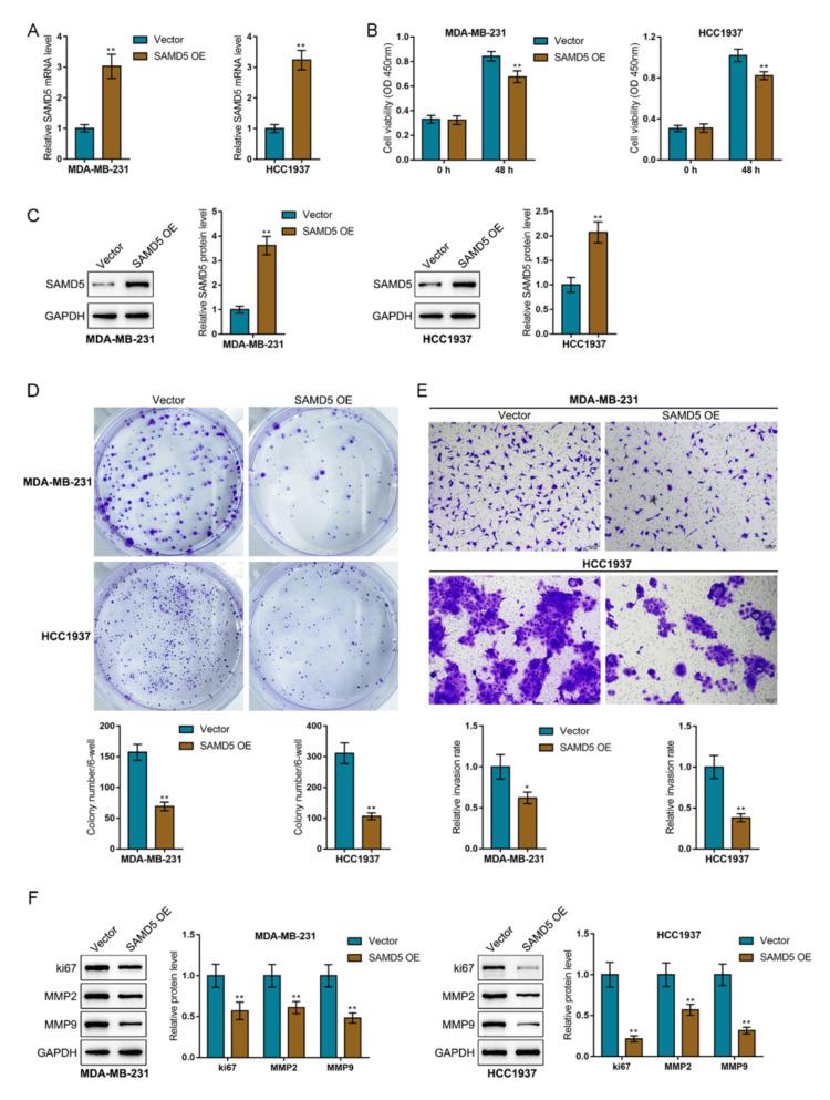 https://cdn.ncbi.nlm.nih.gov/pmc/blobs/45e8/11550111/25cf7a4b779e/cureus-0016-00000073259-i06.jpg