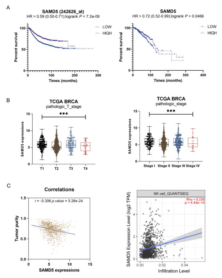https://cdn.ncbi.nlm.nih.gov/pmc/blobs/45e8/11550111/592972ecf861/cureus-0016-00000073259-i03.jpg