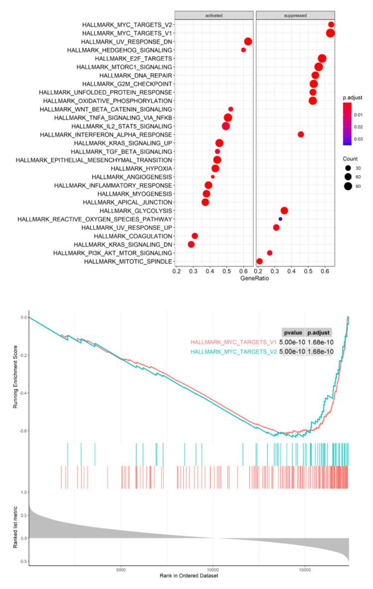 https://cdn.ncbi.nlm.nih.gov/pmc/blobs/45e8/11550111/813218615a26/cureus-0016-00000073259-i04.jpg