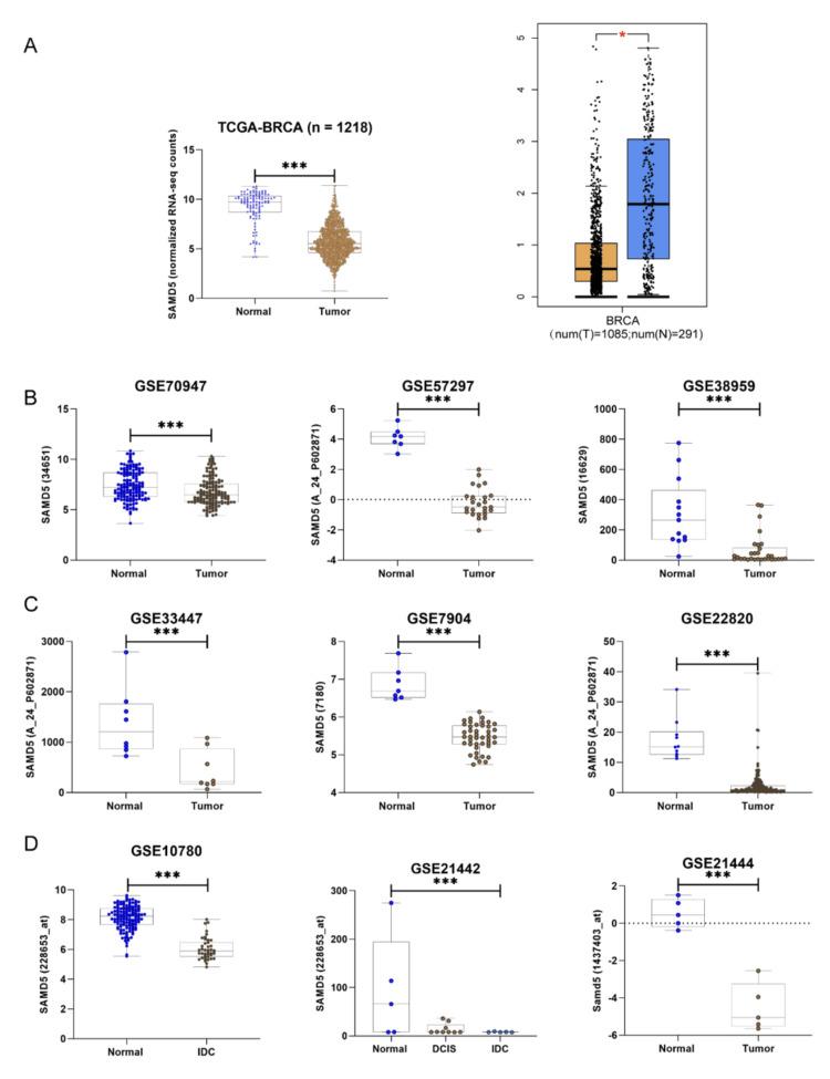 https://cdn.ncbi.nlm.nih.gov/pmc/blobs/45e8/11550111/d74f8ee39d6b/cureus-0016-00000073259-i02.jpg