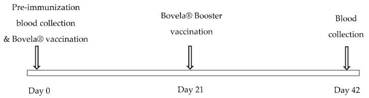 https://cdn.ncbi.nlm.nih.gov/pmc/blobs/45e9/7712251/840e54df35b0/vetsci-07-00169-g001.jpg