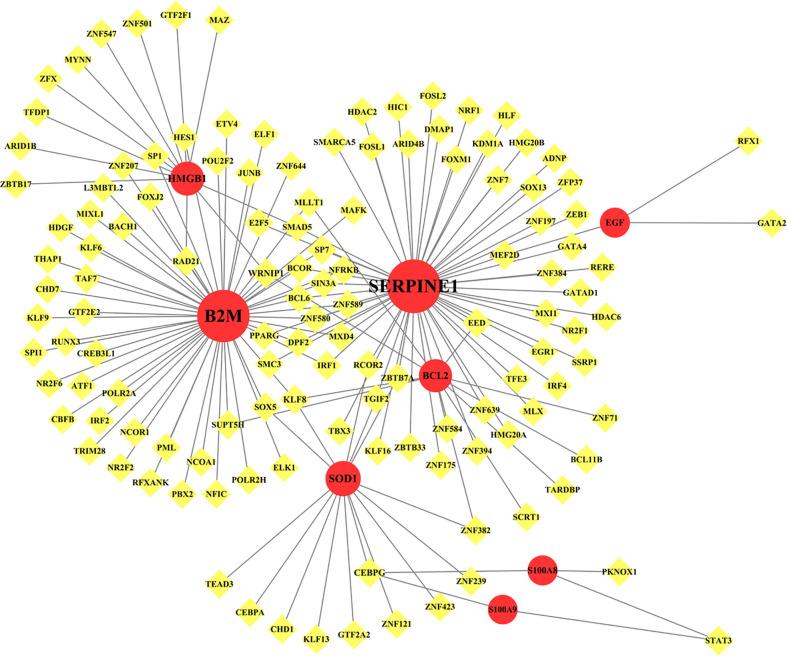 https://cdn.ncbi.nlm.nih.gov/pmc/blobs/45eb/9524193/0cf28bc5881c/fimmu-13-952987-g007.jpg