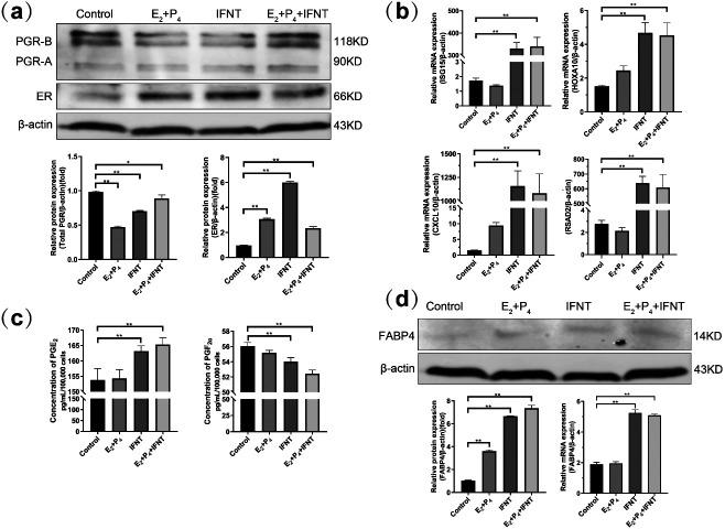 https://cdn.ncbi.nlm.nih.gov/pmc/blobs/45ed/10721855/6b347fef923c/jrd-69-298-g003.jpg