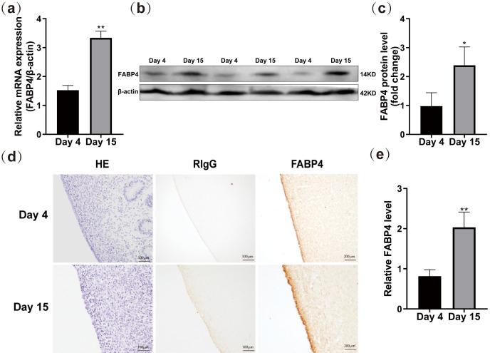 https://cdn.ncbi.nlm.nih.gov/pmc/blobs/45ed/10721855/7738cac3490d/jrd-69-298-g001.jpg