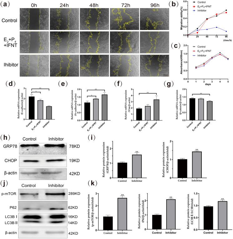 https://cdn.ncbi.nlm.nih.gov/pmc/blobs/45ed/10721855/a10d272898c0/jrd-69-298-g004.jpg