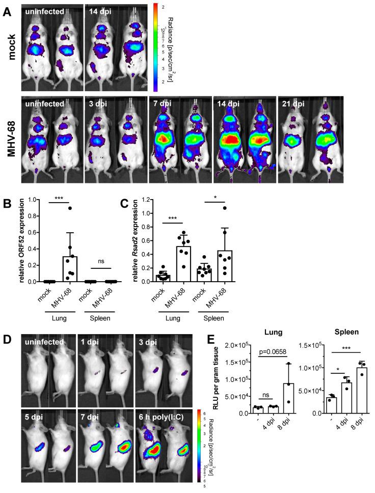 https://cdn.ncbi.nlm.nih.gov/pmc/blobs/45ef/9787724/28a9a0879f5d/pathogens-11-01554-g001.jpg