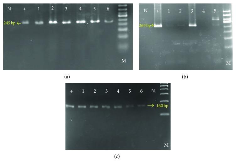 https://cdn.ncbi.nlm.nih.gov/pmc/blobs/45f0/4437385/89fd303af428/JBM2014-272683.001.jpg