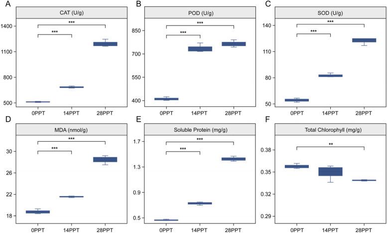 https://cdn.ncbi.nlm.nih.gov/pmc/blobs/45f1/11809035/7afb06220a27/12870_2025_6189_Fig1_HTML.jpg