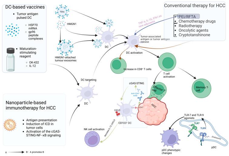 https://cdn.ncbi.nlm.nih.gov/pmc/blobs/45f2/11430656/810bb2e9fbc1/biomolecules-14-01161-g002.jpg