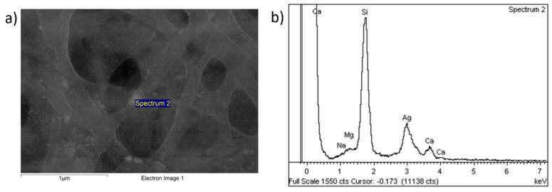 https://cdn.ncbi.nlm.nih.gov/pmc/blobs/45f3/10536667/4472c9d413d4/polymers-15-03700-g007.jpg