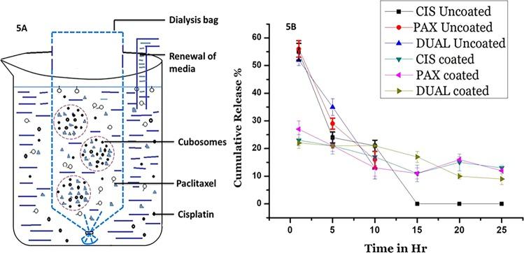 https://cdn.ncbi.nlm.nih.gov/pmc/blobs/45f4/6946659/735c80dc4845/41419_2019_2182_Fig5_HTML.jpg