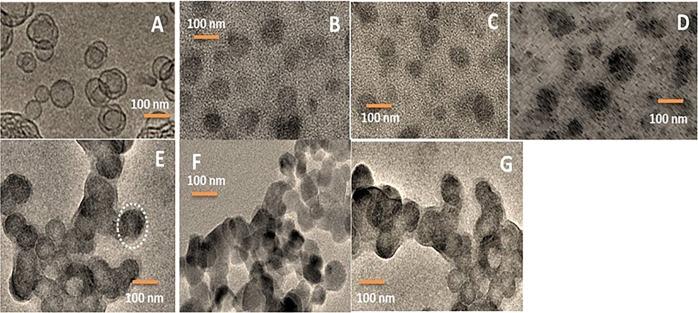 https://cdn.ncbi.nlm.nih.gov/pmc/blobs/45f4/6946659/e9db032f5774/41419_2019_2182_Fig1_HTML.jpg