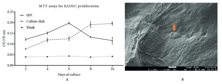 https://cdn.ncbi.nlm.nih.gov/pmc/blobs/45f6/6911261/9bfe79c89b24/turkjbio-43-360-fig007.jpg