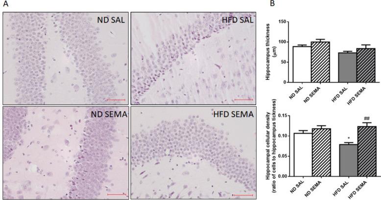 https://cdn.ncbi.nlm.nih.gov/pmc/blobs/45fd/11699651/141b68e7c9a1/13098_2024_1528_Fig7_HTML.jpg